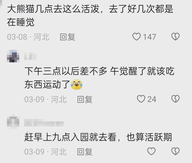 ！园方紧急公告！唐山动物园突发(图4)