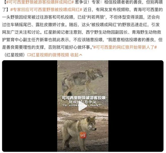 ！园方紧急公告！唐山动物园突发(图8)